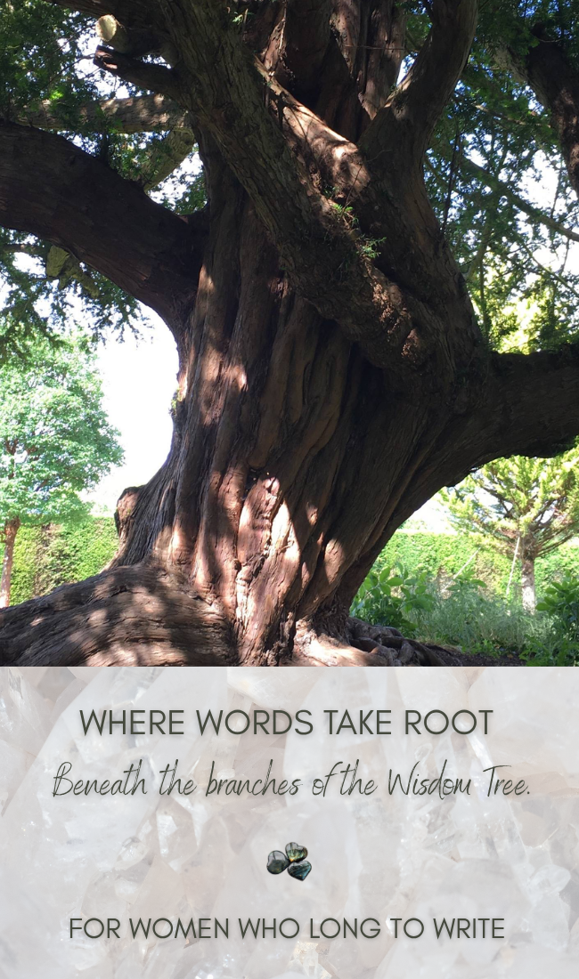 Wisdom Tree graphic for the Soulful Writer's Retreat, a women's writing retreat in Ontario, featuring the words "Where Words Take Root" and "For women who long to write."